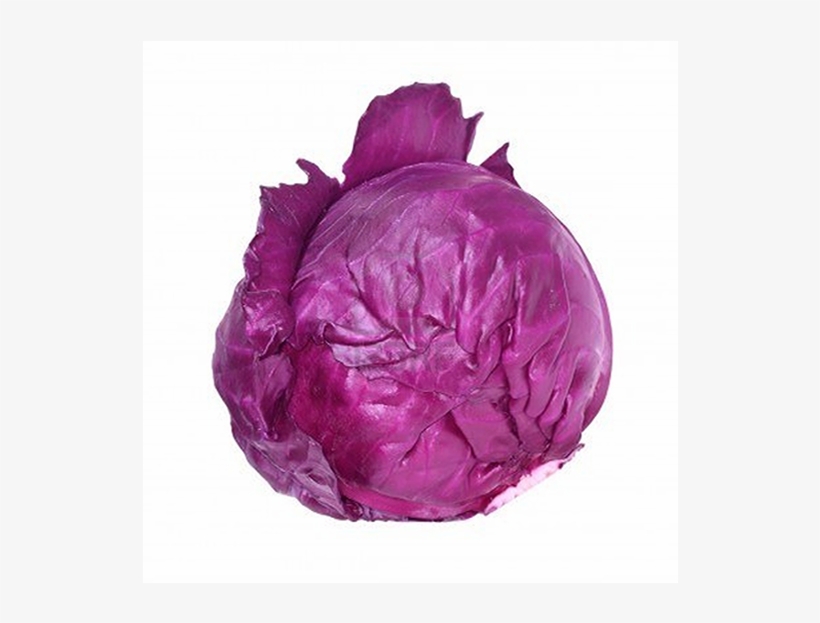 Red Cabbage Png - Coliflor Lombarda, transparent png #9744614