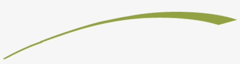 Leaf Plant Stem Close - Underline Swoosh Png, transparent png #9744710
