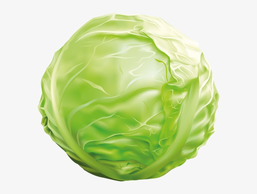 Cabbage - Дидактична Гра Учимося Варити Борщ, transparent png #9744826