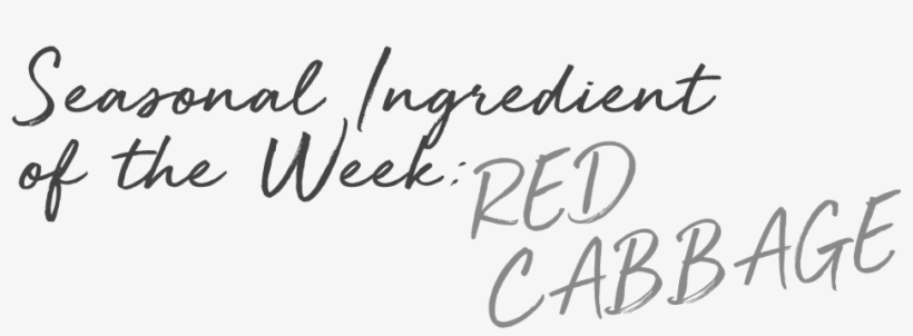 Seasonal Text Red Cabbage - Handwriting, transparent png #9744965