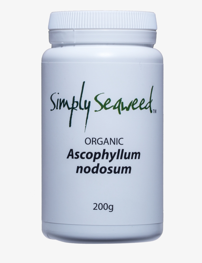 Saw Palmetto, transparent png #9745280