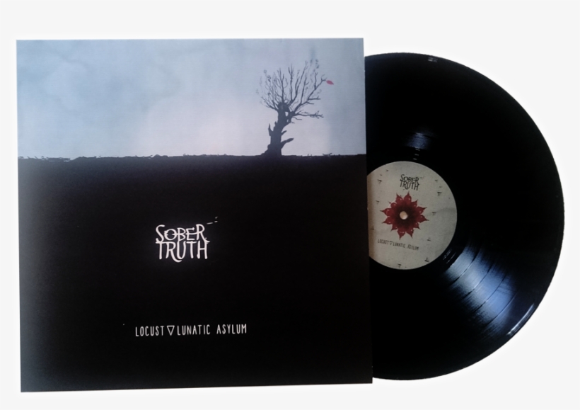 Vinyl Locust Lunatic Asylum - Circle, transparent png #9747380