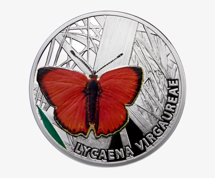 Niue 2010 1$ Scarce Copper Butterflies Proof Silver - Lycaenid, transparent png #9747637