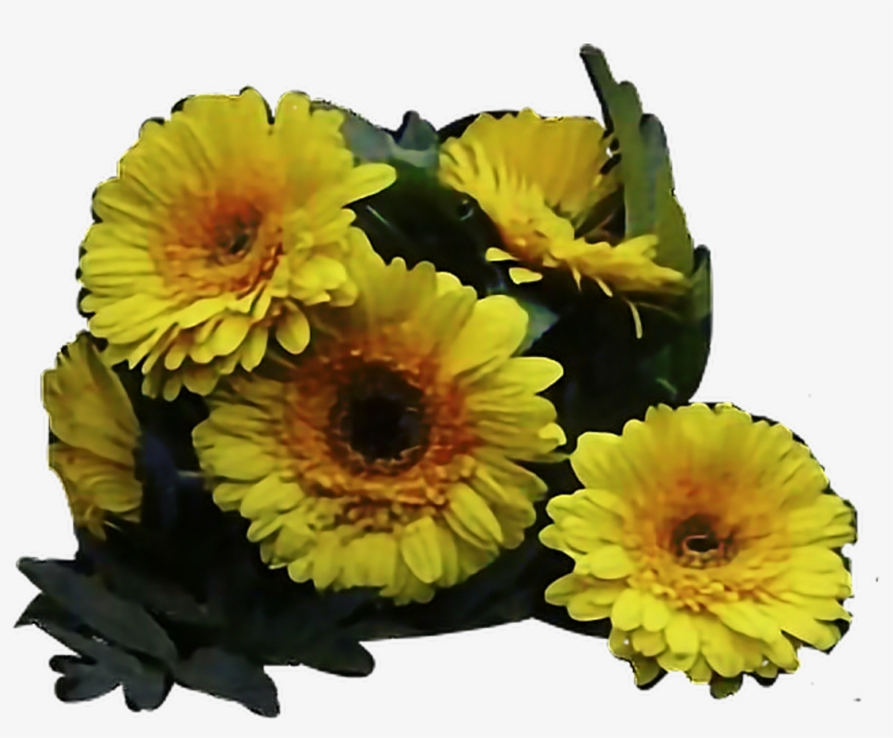 Twentyonepilots Sticker - Twenty One Pilots Flower, transparent png #9748701