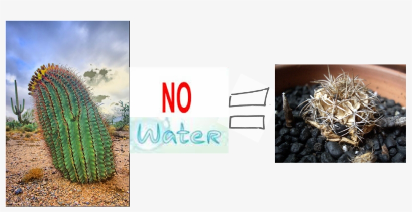 Mojave D﻿esert - Water Clip Art Free, transparent png #9748742
