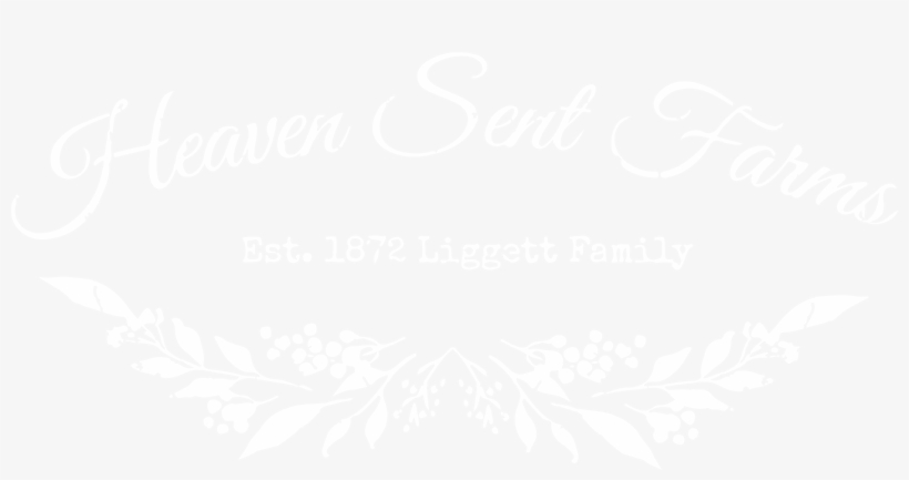 Calligraphy, transparent png #9749796
