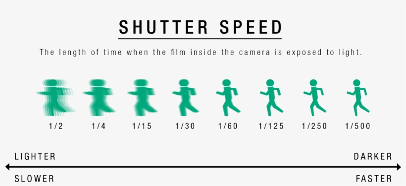 Iso Is The Measurement Of A Film's Speed, Defined By - Number, transparent png #9750049