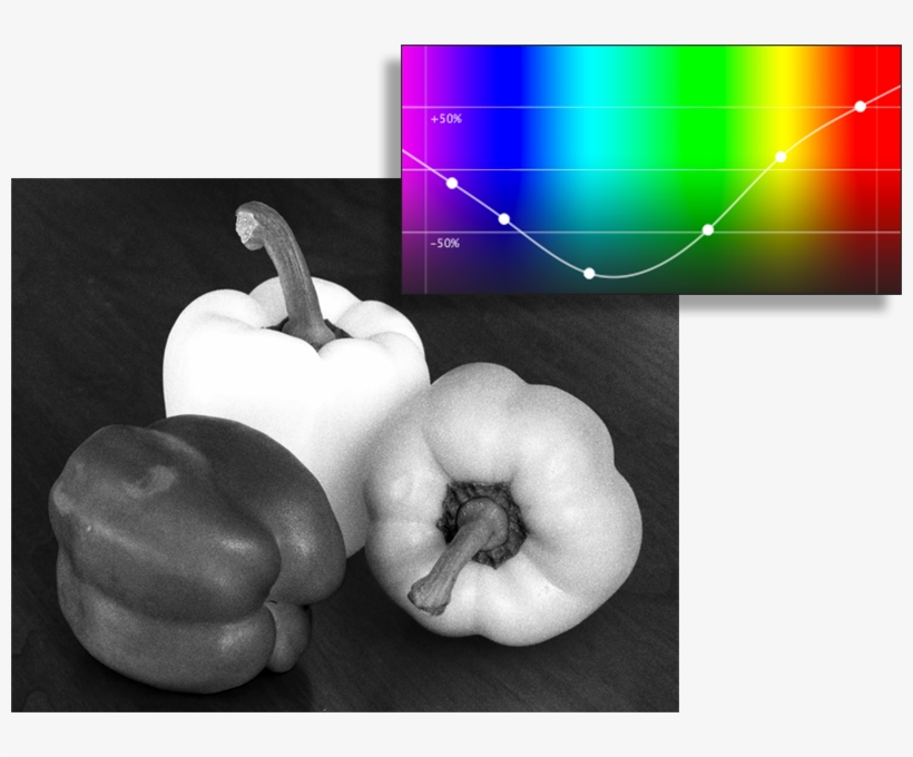 Example Of Normal Spectral Response Example Of Red - Winter Squash, transparent png #9750325