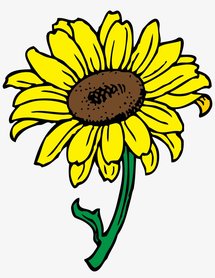 15 Sunflowers Png Animated For Free On Mbtskoudsalg - Clip Art Of Sunflower, transparent png #9752291