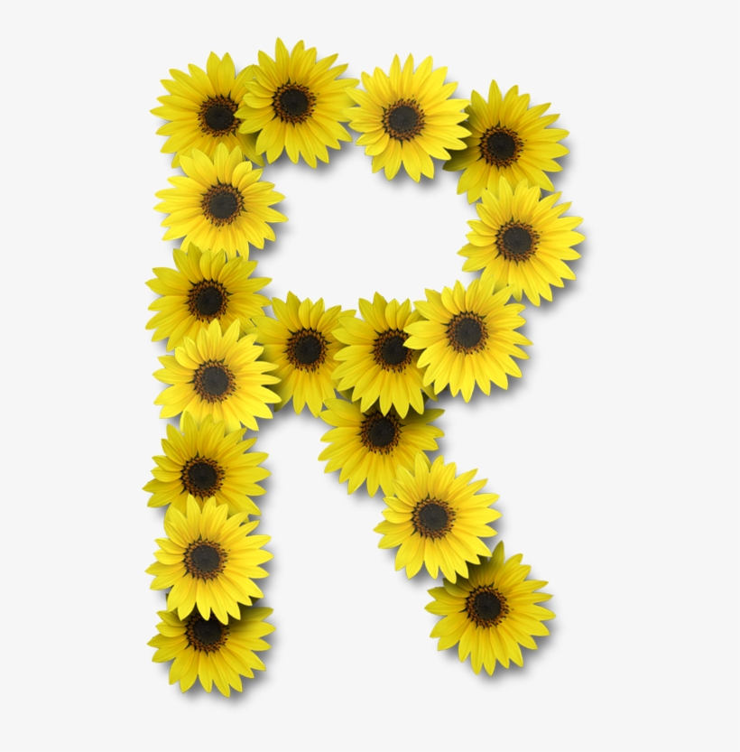 Alfabeto Sunflowers - Letter B Sunflower, transparent png #9752654