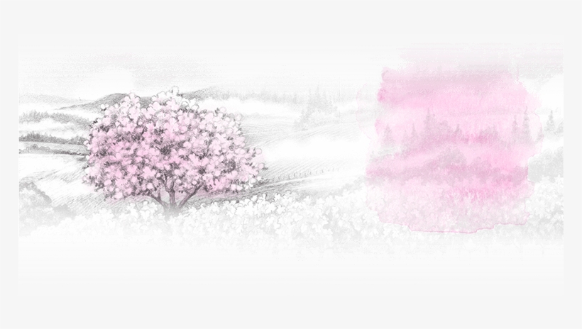 And So It Is With Smoke Tree Wines - Cherry Blossom, transparent png #9752729