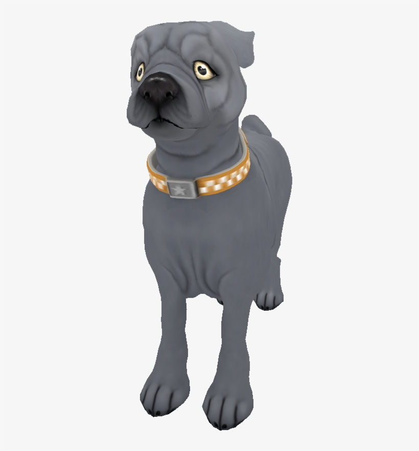 Pug Silversolid - Pug, transparent png #9753141