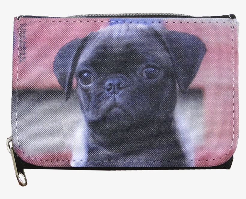 Lotte, Pug Purse, S - Pug, transparent png #9753512