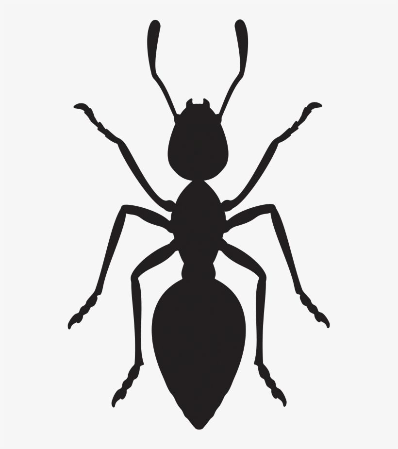 Is Your Agency An Ant - Ants Vector Png, transparent png #9753678