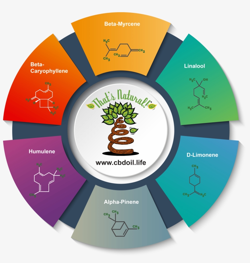 Major Terpenes In Natural Full-spectrum Cbd, transparent png #9753679