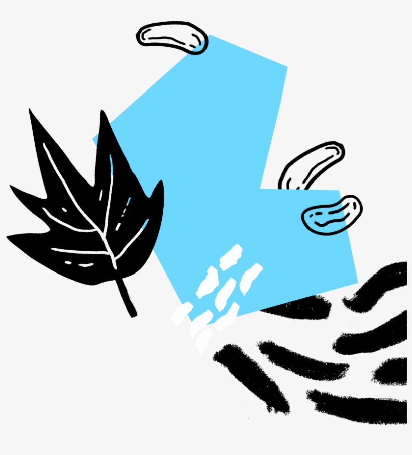 Maple Cashew Paleo Protein Snacks, transparent png #9754118