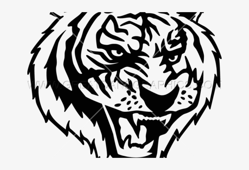 Drawn White Tiger Transparent - Illustration, transparent png #9754513