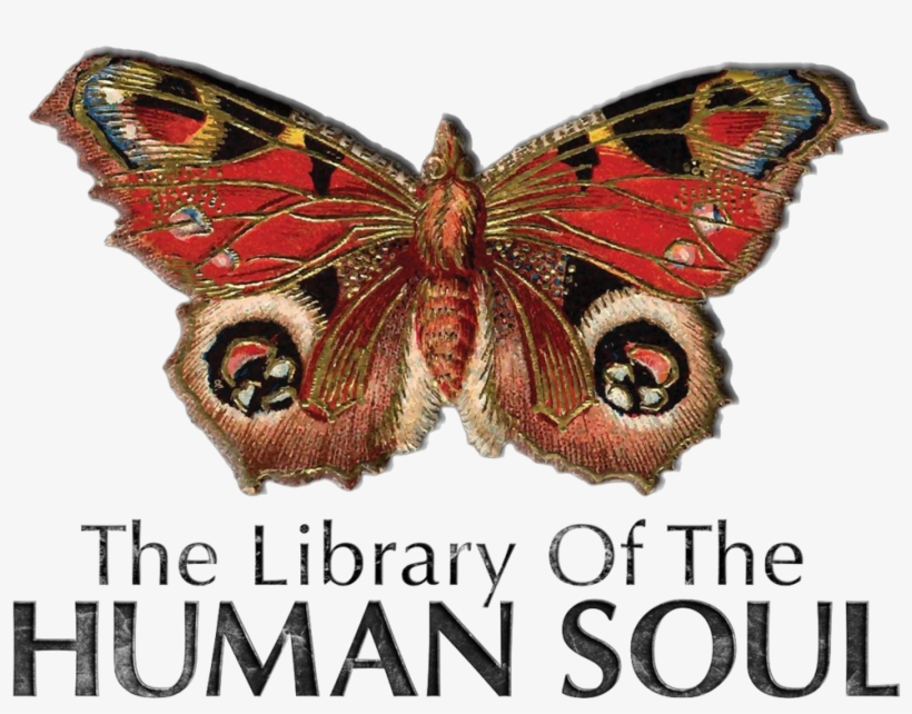 Logo Og - Vintage Butterfly Tattoo, transparent png #9754662