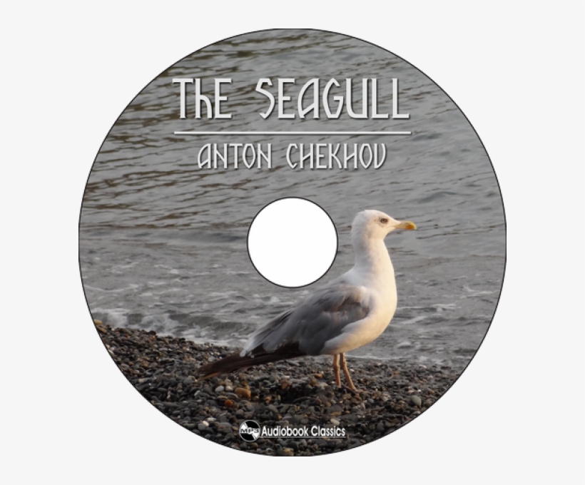 Specification - Great Black-backed Gull, transparent png #9754866