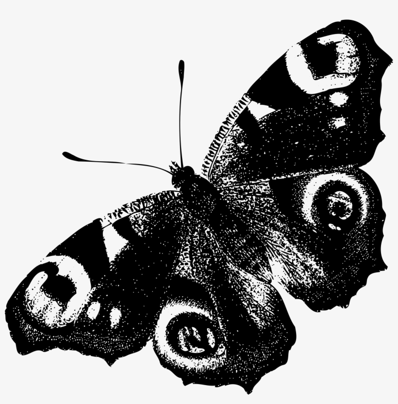 Clipart Butterfly Black Big Image Png - Papillon Paon De Jour, transparent png #9754966