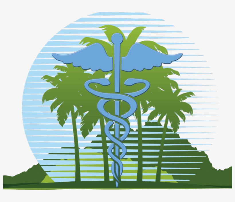 Hawaii- The West Maui Hospital Foundation, Formed To - Logo Timely Medical Clinic, transparent png #9755594