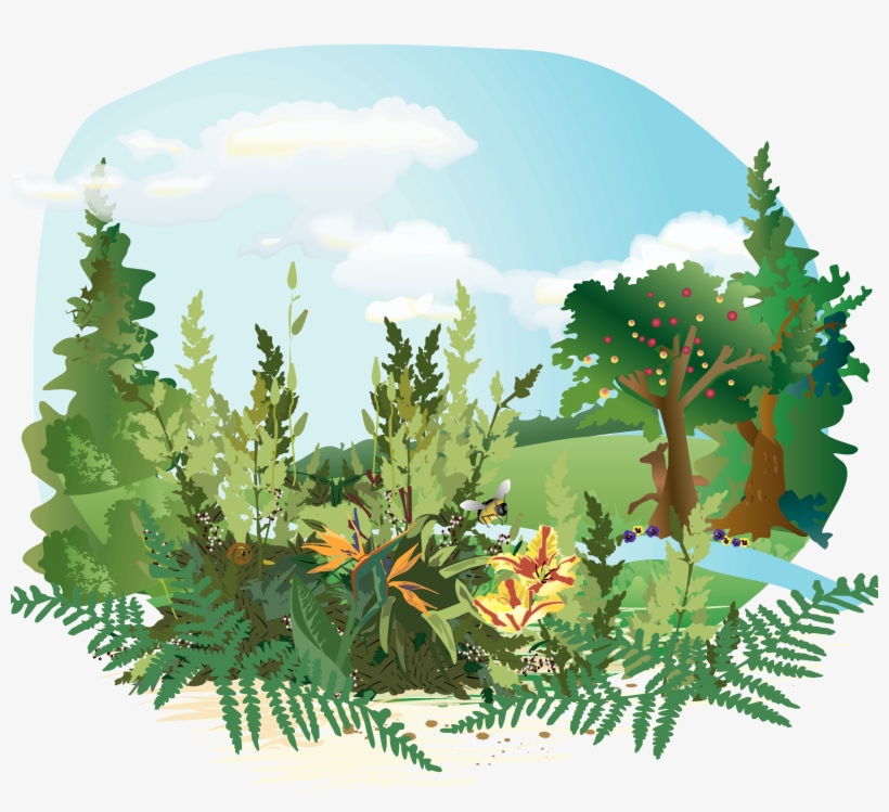 Eden Garden Bible Hd, transparent png #9755810