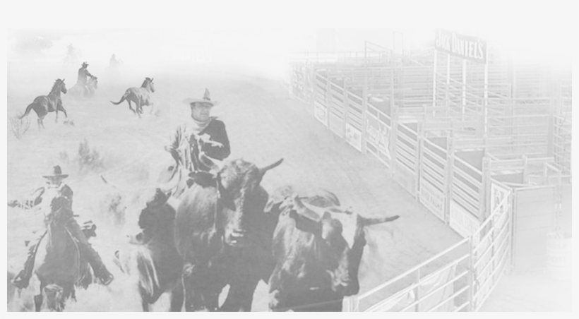 Portable Livestock Arena And Buckin Chutes - Bull Riding, transparent png #9757122