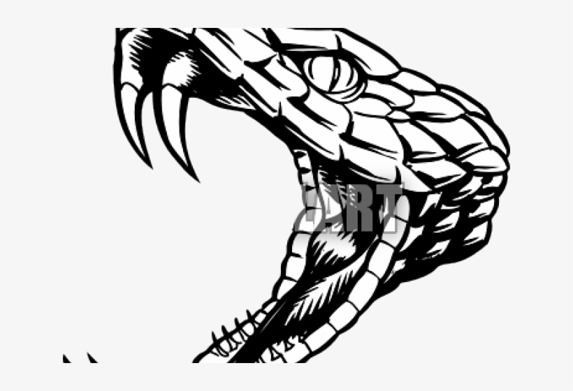 Snake Tattoo Clipart Serpent - Snake Head Clip Art, transparent png #9759567