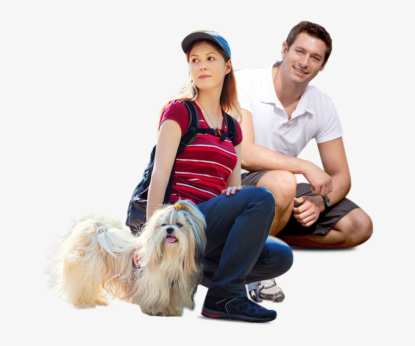 We Partner With Rescues And Animal Control Agencies - Kim Eul Dong, transparent png #9760267