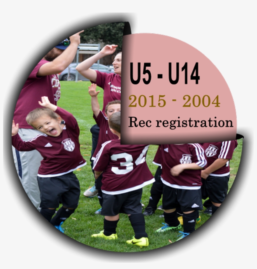 Please Click On The Correct Age Group Button - Team, transparent png #9761176