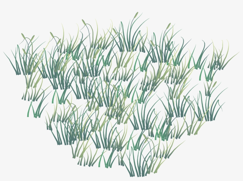 Vector Grass Png - Grass, transparent png #9761339