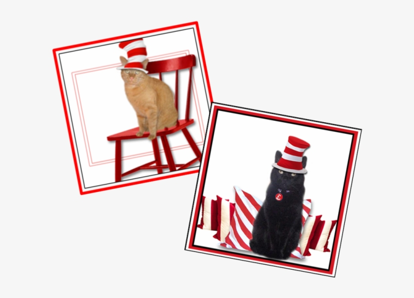 Wally Ernie Dr - Cat Grabs Treat, transparent png #9762397