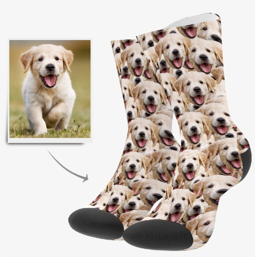 Face Mash Dog - Dalmatian, transparent png #9762446