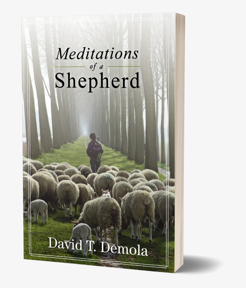 Meditations Of A Shepherd - Bighorn, transparent png #9762491