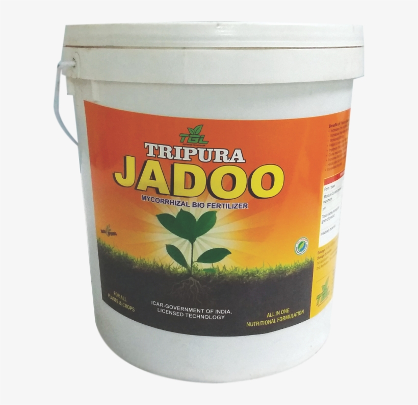 Kelp, transparent png #9762560