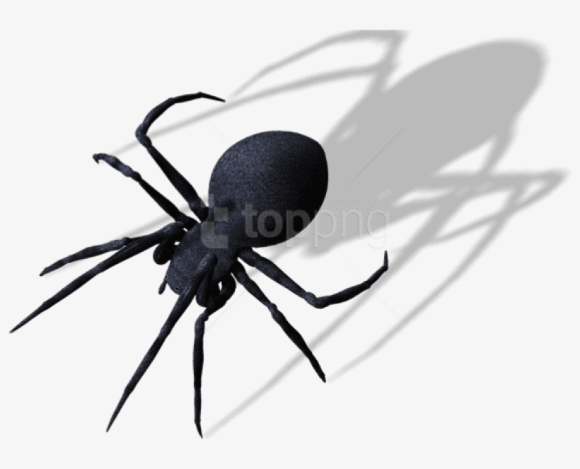 Free Png Spider Png Images Transparent - Spider Png, transparent png #9763967