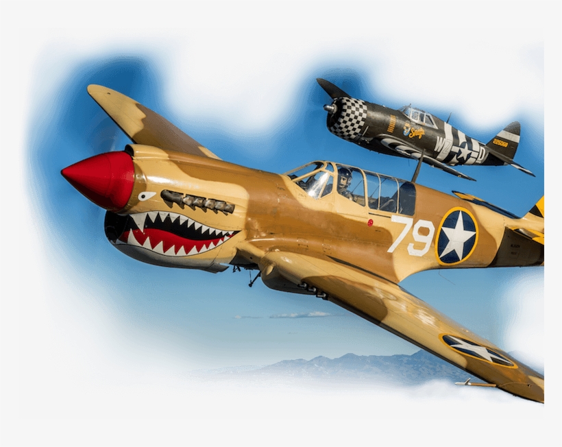 A Live History Museum - Curtiss P-40 Warhawk, transparent png #9763971