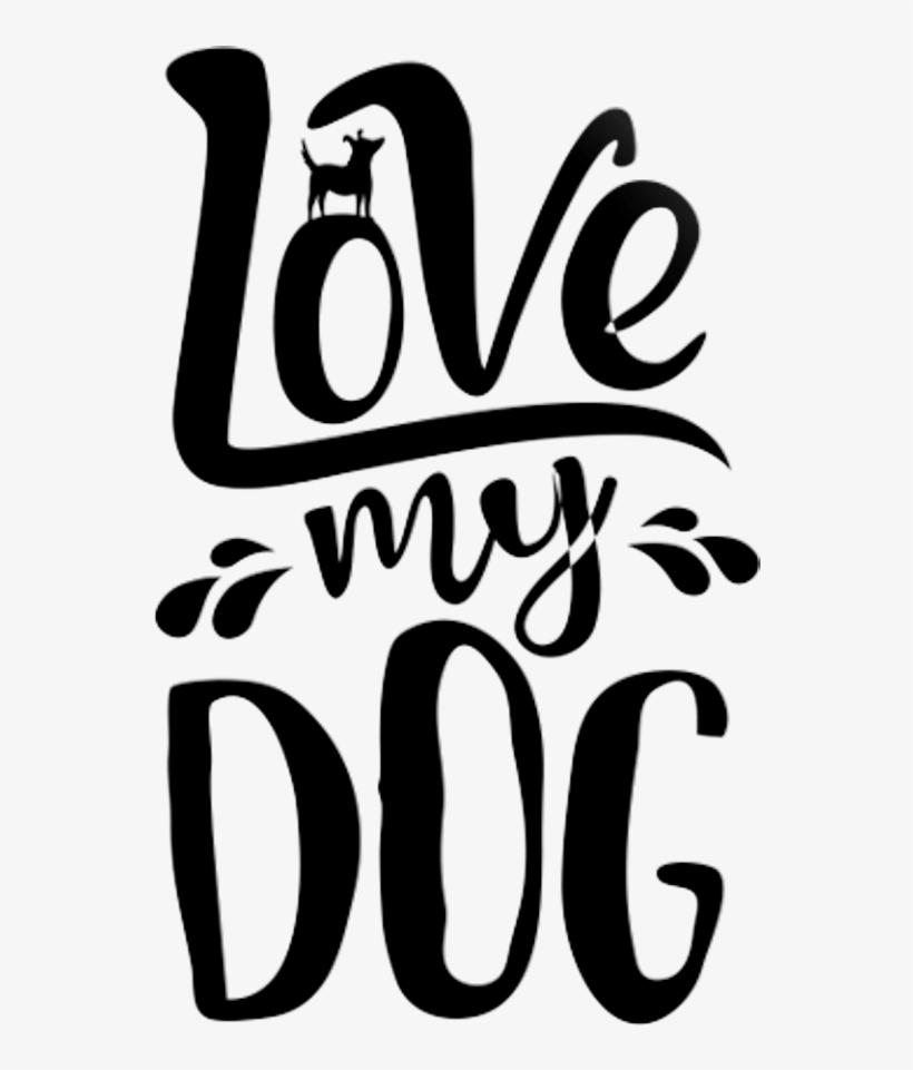 900 X 900 27 - Dog, transparent png #9764600