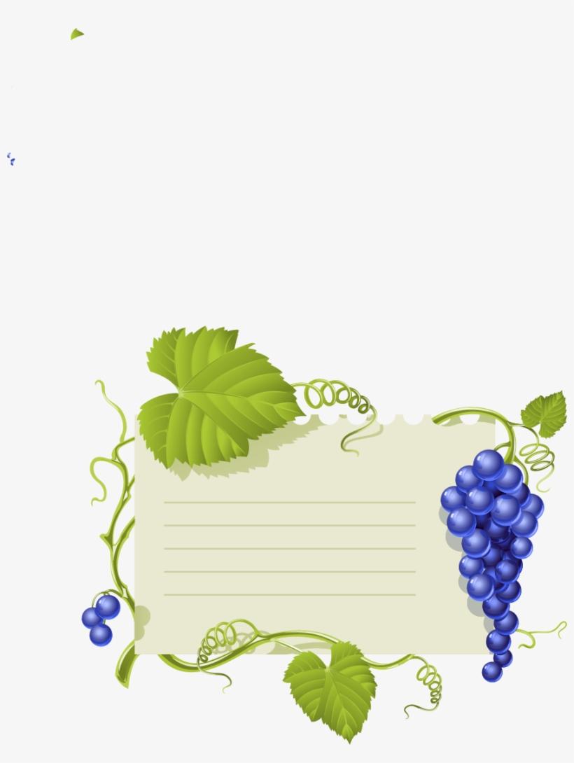 Common Grape Vine Leaves, transparent png #9764821
