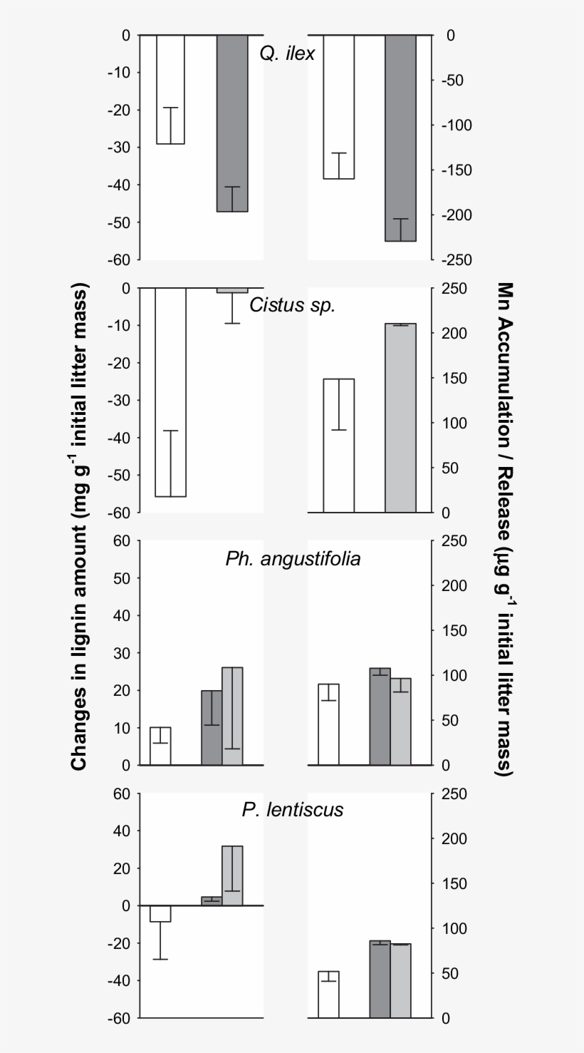 Changes, Over 403 Days Litter Incubation In Situ, In - Diagram, transparent png #9765818
