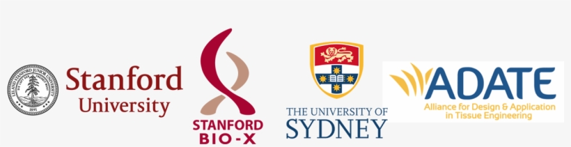 Stanford University Seal, Stanford Bio-x Logo, University - Stanford University, transparent png #9766291