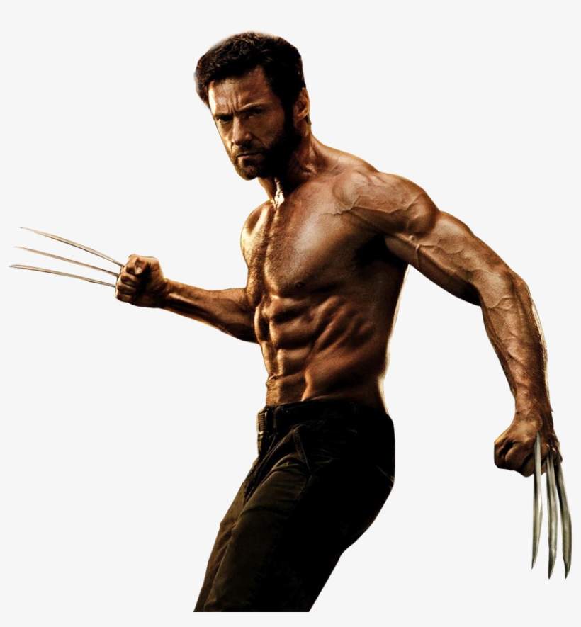 The Wolverine 2013 Movie Render By Shazly250 D5ke1fd - Hugh Jackman Wolverine Png, transparent png #9766529