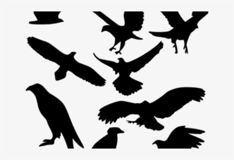 Raven Clipart Flying, transparent png #9767370