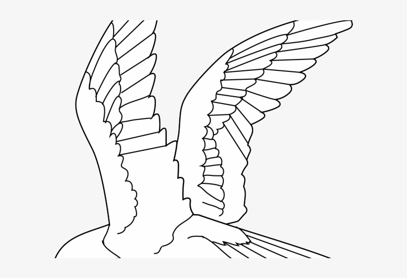 Drawn Raven Flying - Birds Lineart, transparent png #9767645