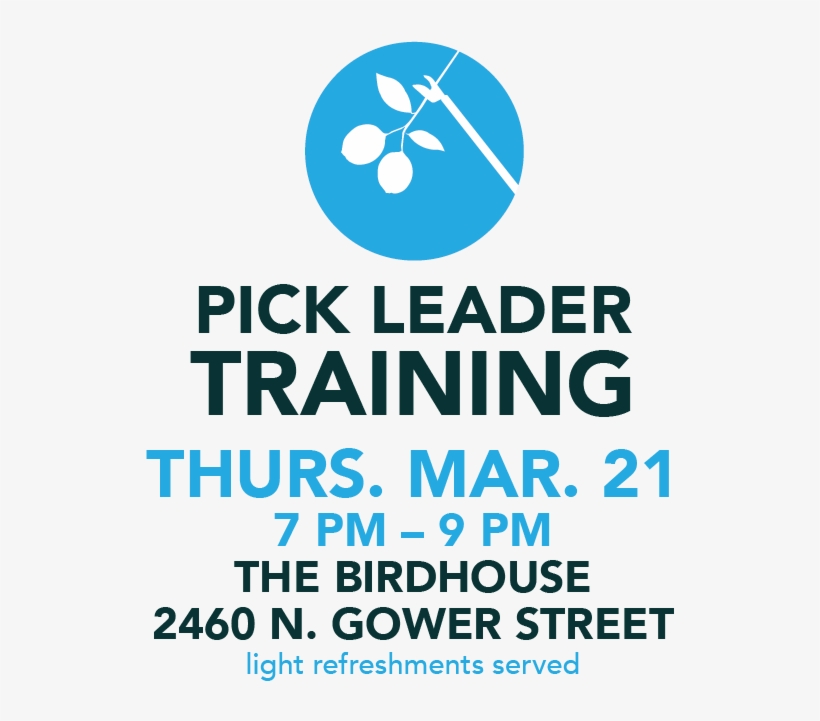 Pick Training - Graphic Design, transparent png #9769334