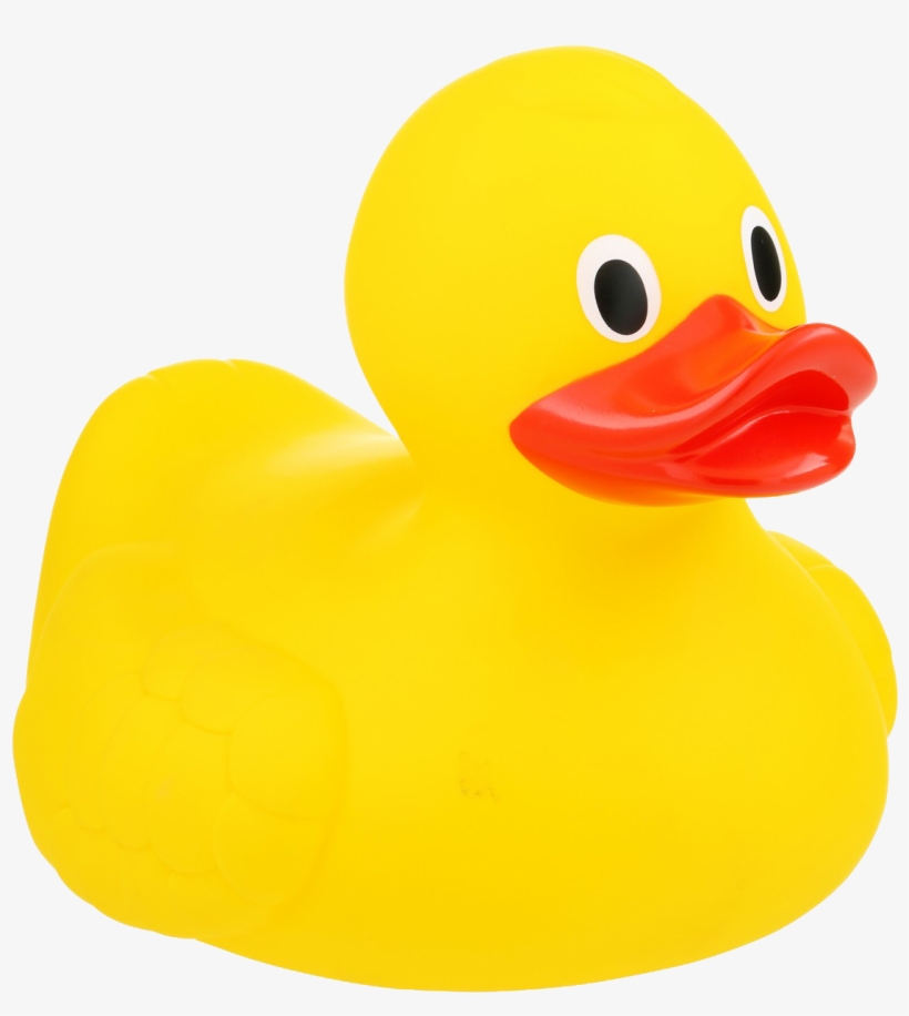 Rubber Duck, transparent png #9770955