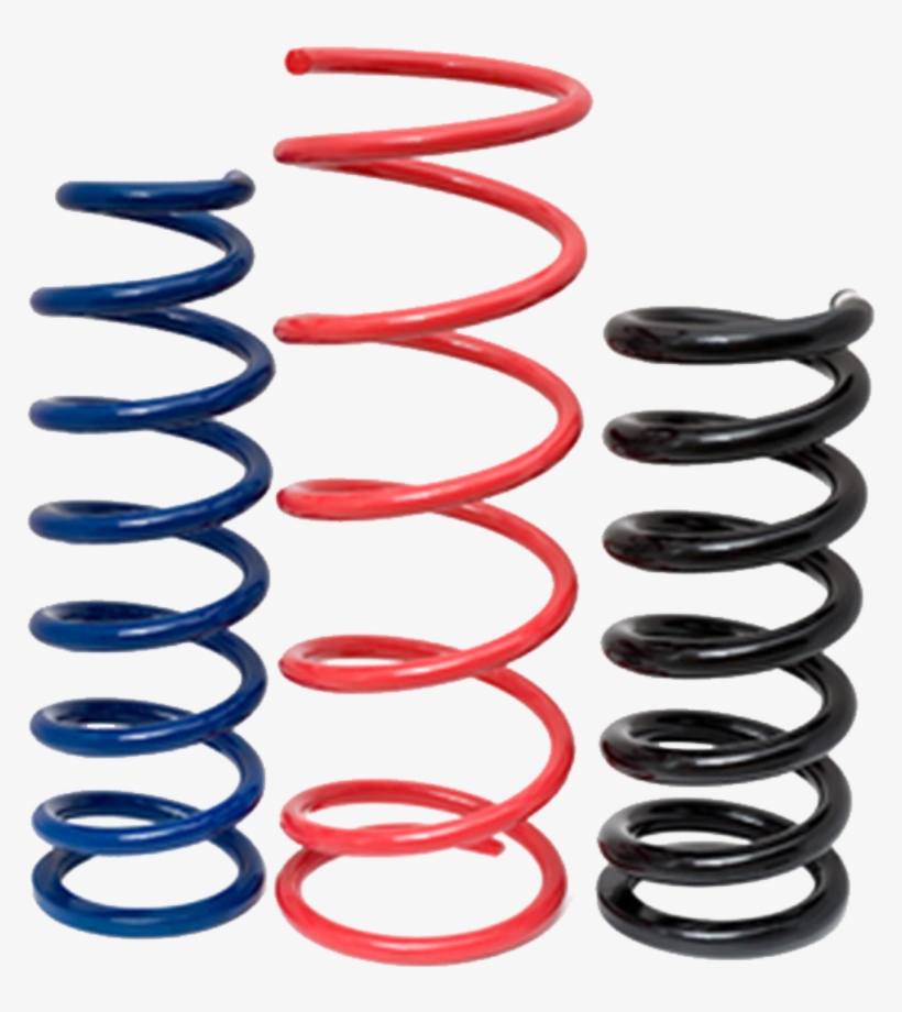 Moog Constant Rate Coil Springs - Resortes Traseros De Caribe, transparent png #9771051
