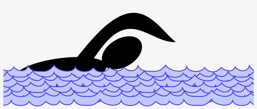 Sports, transparent png #9771784