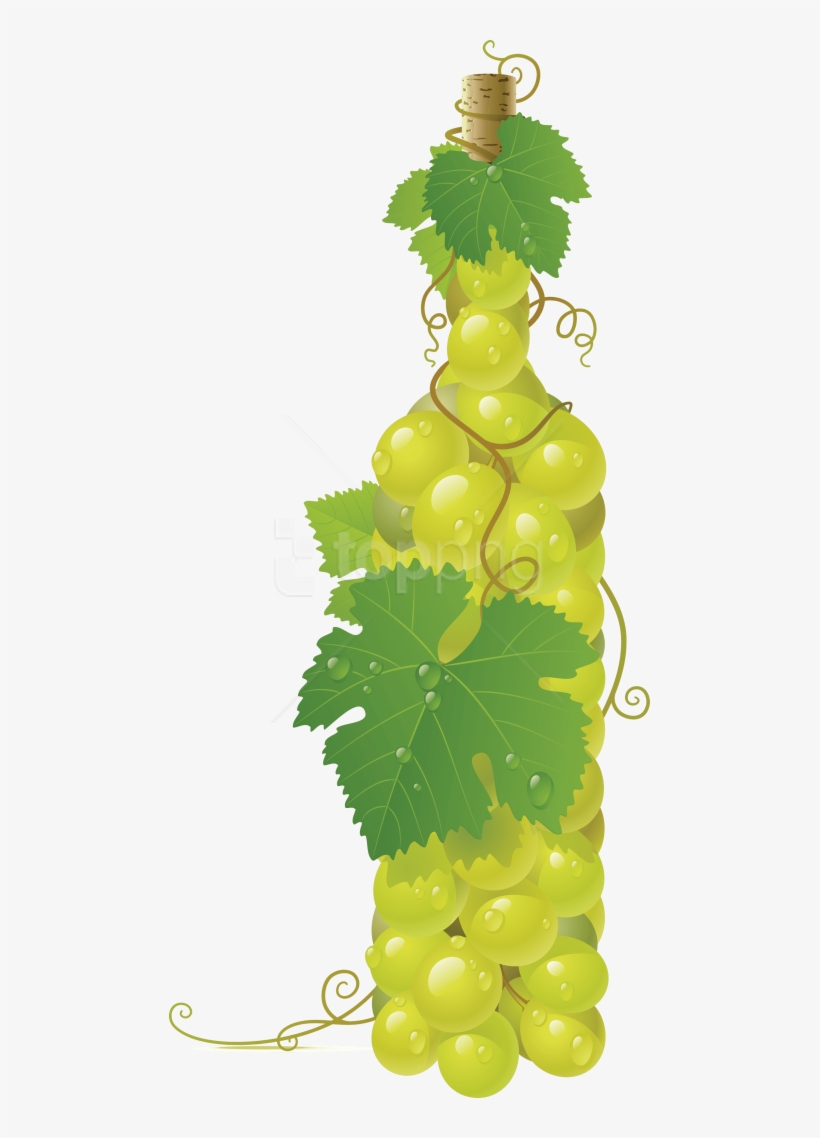 Free Png Winebottle Out Of Grapes Png Images Transparent - Bottle Of Grapes Clip Art, transparent png #9772112