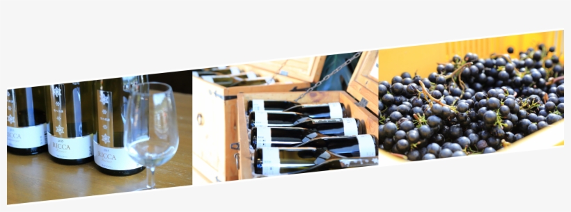 Shop - Seedless Fruit, transparent png #9772515